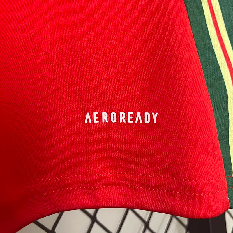 2024-25 Wales Home Fans Soccer Jersey