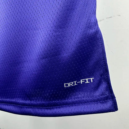 LAKERS JAMES #6 Royal blue City Edition Top Quality Hot Pressing NBA Jersey