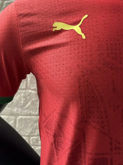 2024-25 Morocco Home Player Version Soccer Jersey