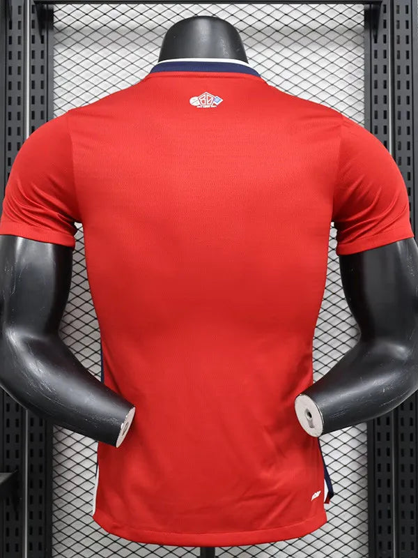 Lille Home Player Version Soccer Jersey