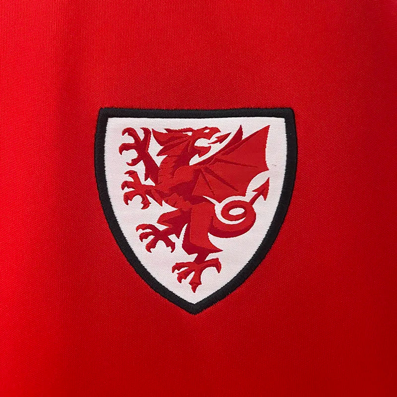 2024-25 Wales Home Fans Soccer Jersey