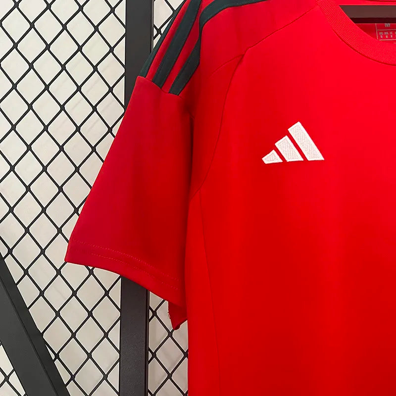 2024-25 Wales Home Fans Soccer Jersey